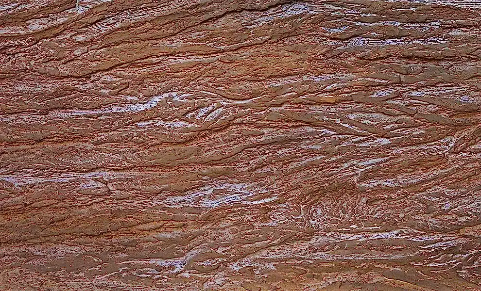 Botanical Wood - PC 3305