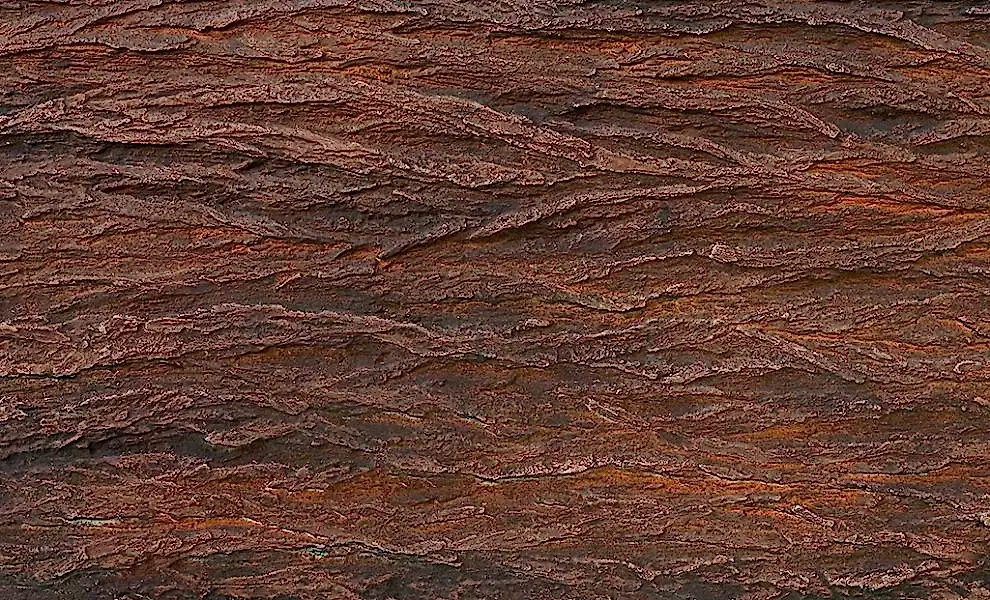 Botanical Wood - PC 3310